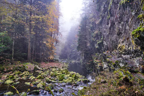 Gemeinde Freyung-Grafenau Landkreis Freyung-Grafenau Buchberger Leite Ringelai-Freyung (Dirschl Johann) Deutschland FRG